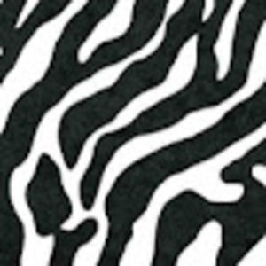 Meet your Posher, Marley